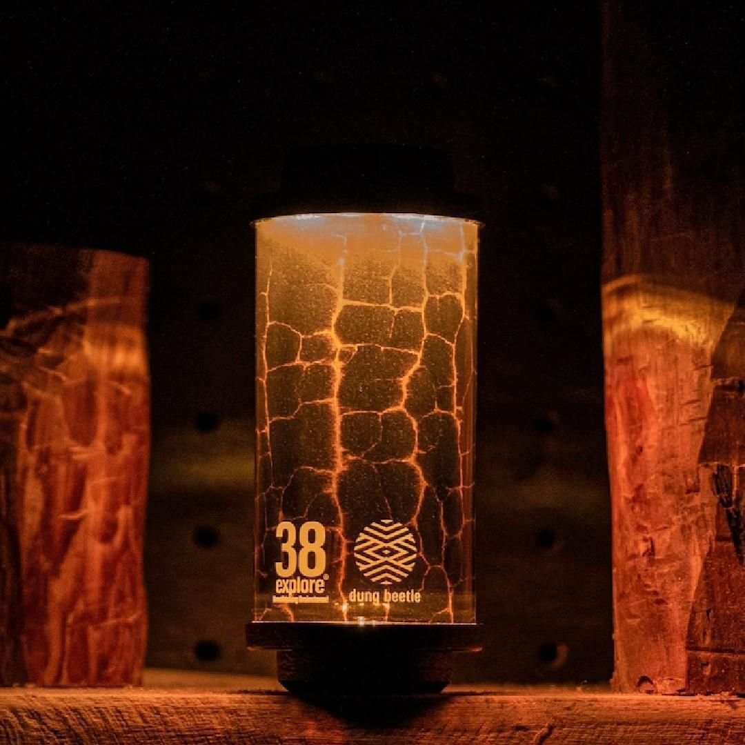 イベント限定 38-kT OKIBI 38explore dung beetle