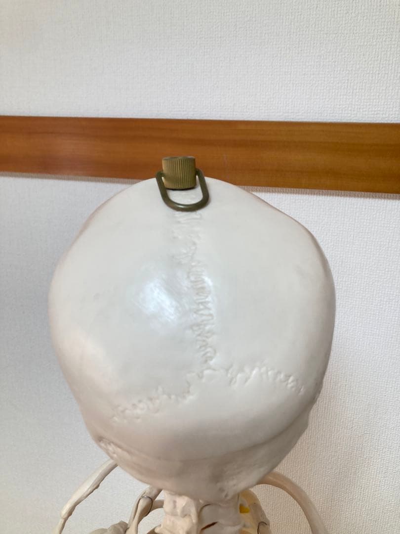 ☆レア 全身人体模型 骨格標本 約180cm 可動式 キャスター付き 医学 教材