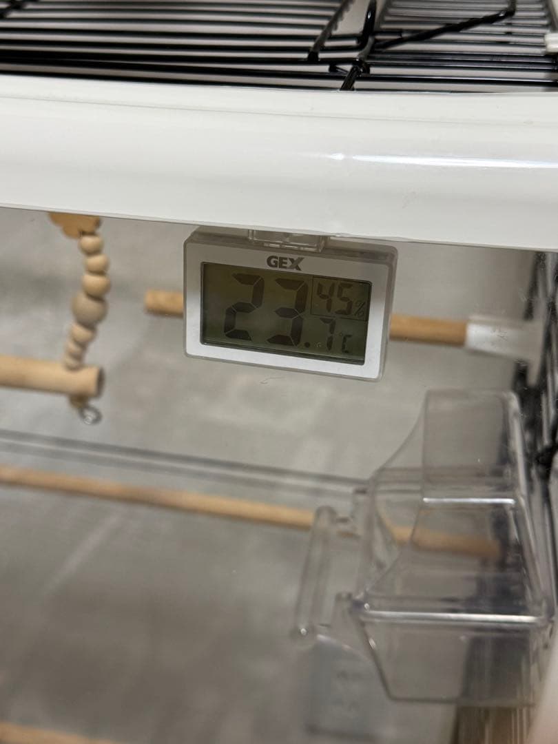 あかむらさき