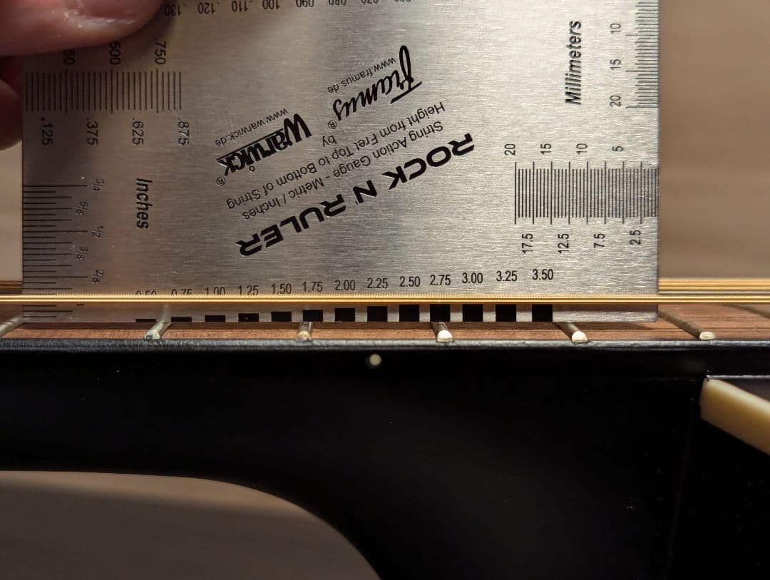 エレアコ Recording King RDS-9-12-FE5-TS 12弦
