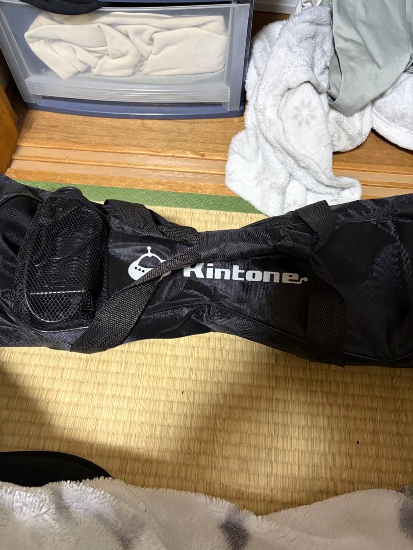 Kintone セグウェイ