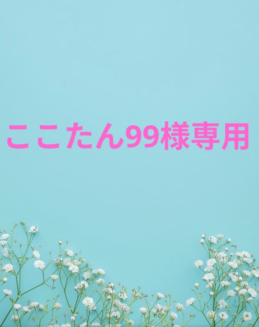 ここたん99