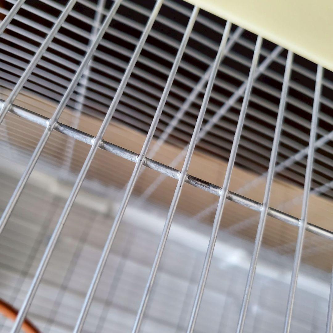 visionの 鳥かご