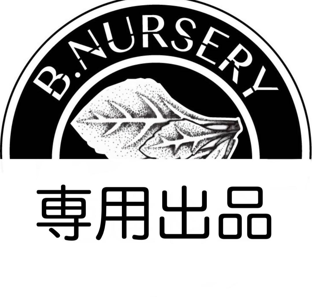 専用③