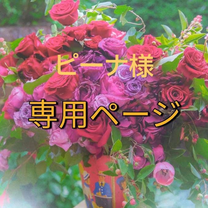 ピーナ/6